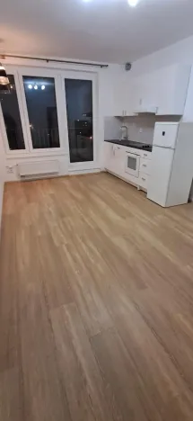 Pronájem bytu 1+kk, Praha - Horní Měcholupy, Nad přehradou, 37 m2