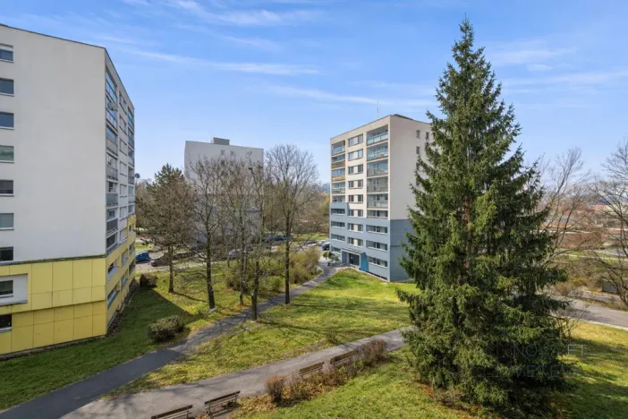 Prodej bytu 3+kk, Praha - Žižkov, Buková, 53 m2