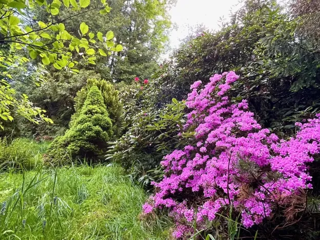 Prodej chaty, Běstvina, 70 m2