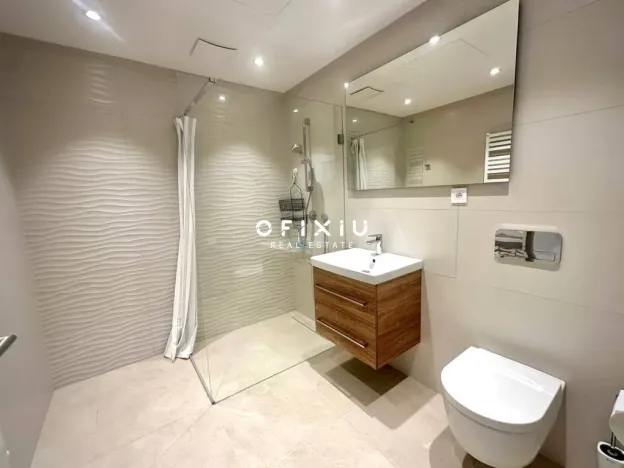 Pronájem bytu 1+kk, Brno, Cejl, 38 m2