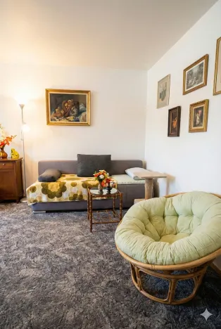 Prodej bytu 1+1, Olomouc - Nová Ulice, Pionýrská, 45 m2