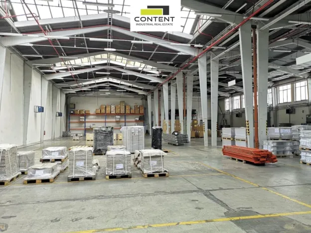 Pronájem výrobních prostor, Břeclav, Mládežnická, 3164 m2