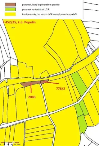 Prodej lesa, Popelín, 2730 m2