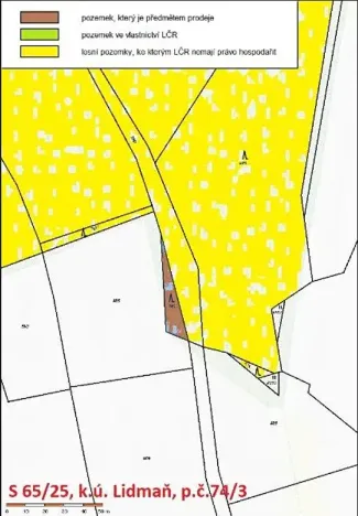 Prodej lesa, Lidmaň, 297 m2