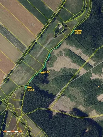 Prodej lesa, Tis, 906 m2