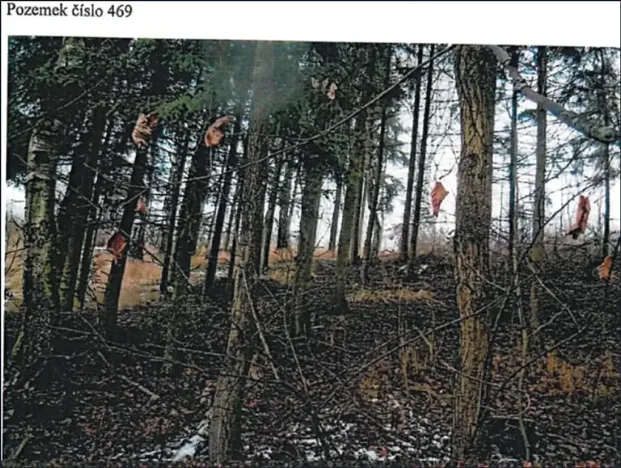 Prodej podílu lesa, Jihlava, 11793 m2