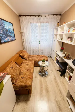 Prodej bytu 3+1, Olomouc - Nová Ulice, Pionýrská, 60 m2