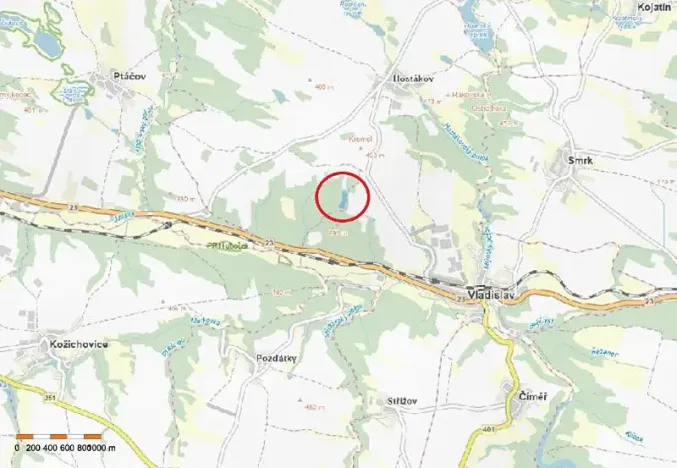 Prodej lesa, Vladislav, 9412 m2