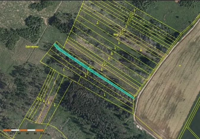 Prodej lesa, Dolní Vilémovice, 9629 m2