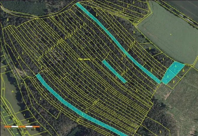 Prodej lesa, Dolní Vilémovice, 9629 m2