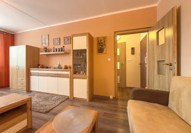 Prodej bytu 1+1, Jirkov, SNP, 39 m2