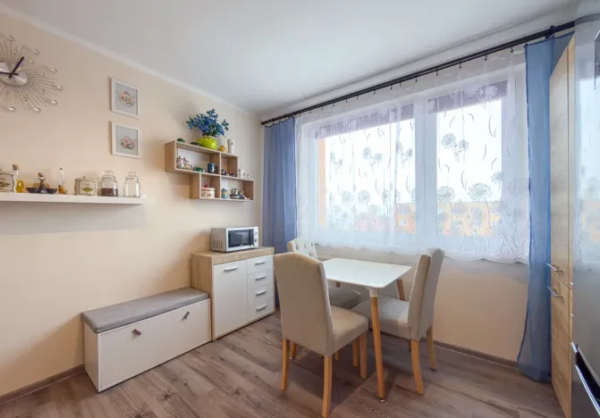 Prodej bytu 1+1, Jirkov, SNP, 39 m2