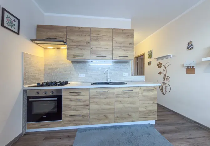 Prodej bytu 1+1, Jirkov, SNP, 39 m2