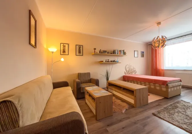 Prodej bytu 1+1, Jirkov, SNP, 39 m2