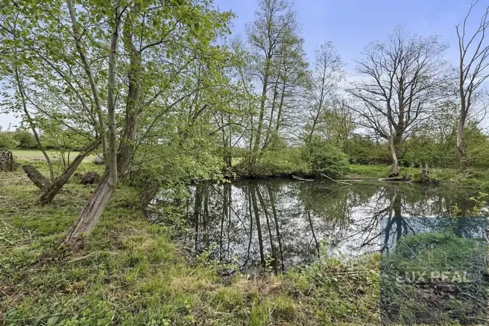 Prodej ubytování, Petrůvky, 2953 m2