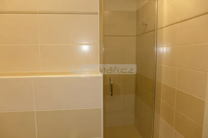 Pronájem bytu 3+kk, Plzeň, U Velkého rybníka, 87 m2