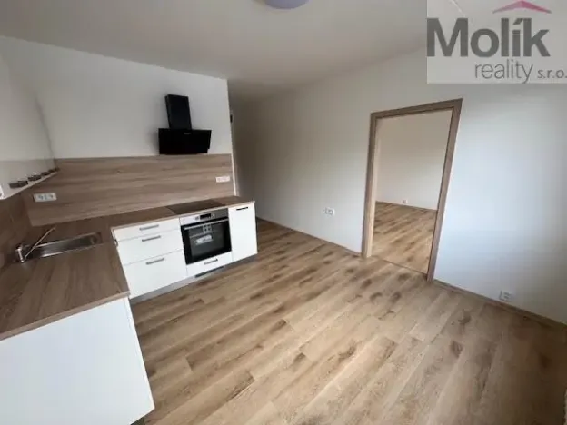 Pronájem bytu 1+1, Duchcov, Osecká, 39 m2