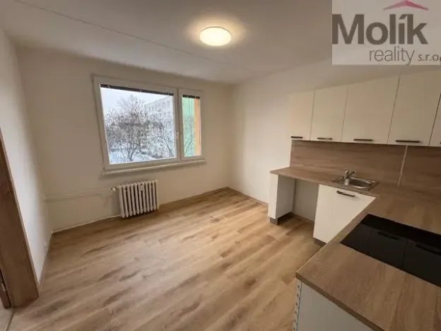 Pronájem bytu 1+1, Duchcov, Osecká, 39 m2