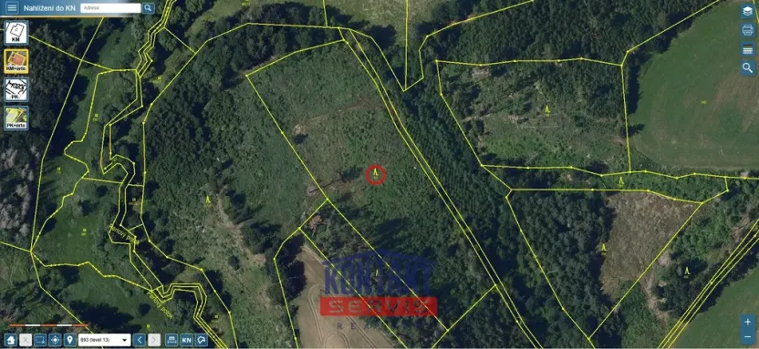 Prodej lesa, Okrouhlice - Vadín, 13839 m2