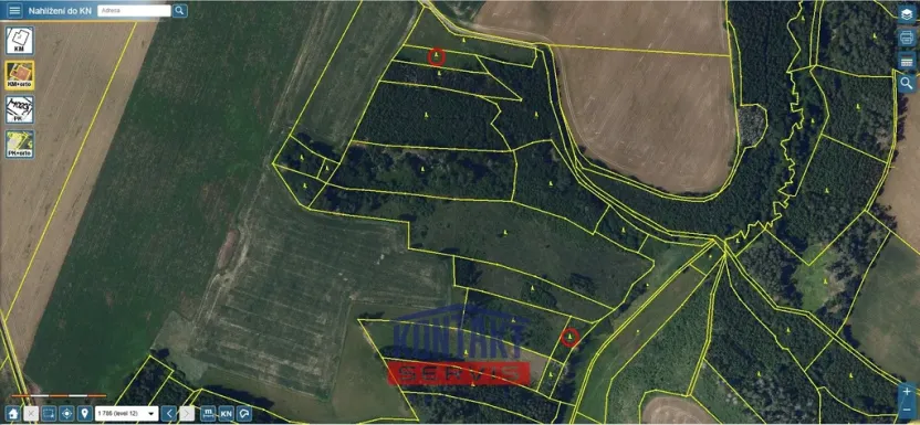 Prodej lesa, Okrouhlice - Vadín, 13839 m2