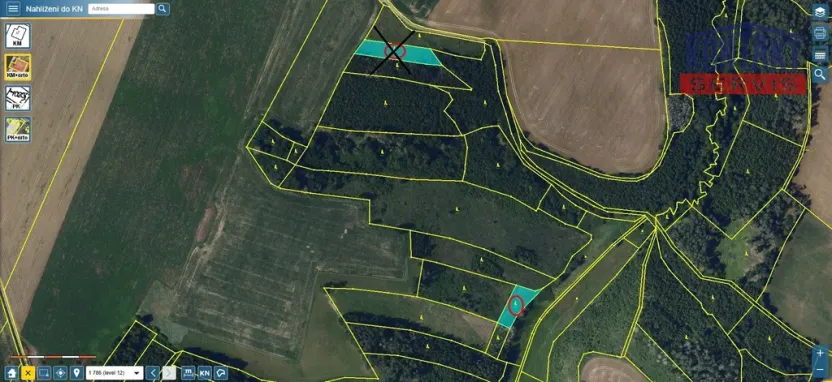 Prodej lesa, Okrouhlice - Vadín, 12243 m2