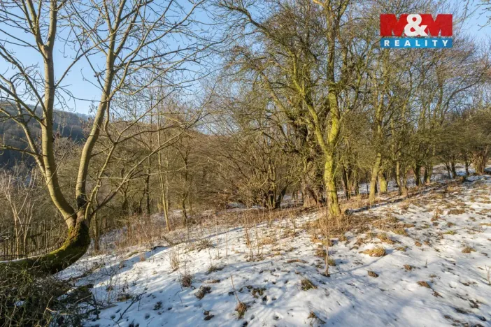 Prodej zahrady, Ryjice, 1648 m2