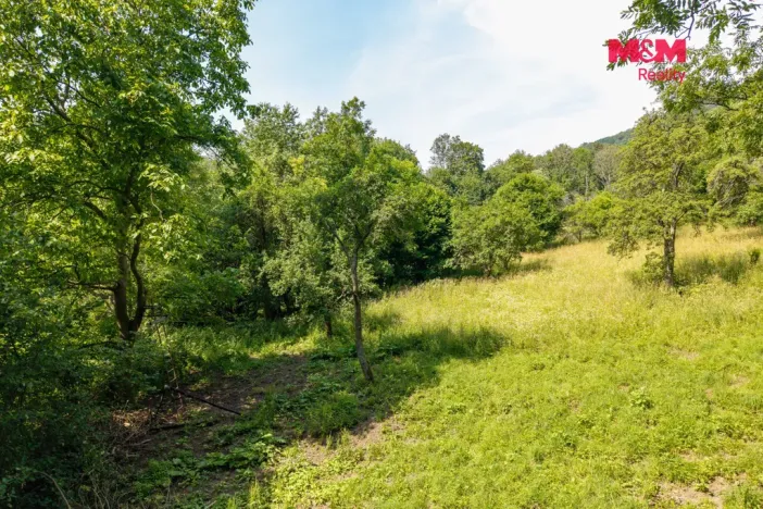 Prodej zahrady, Ryjice, 1648 m2
