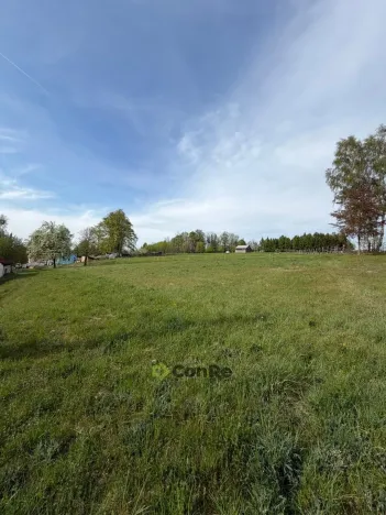 Prodej pozemku pro bydlení, Pulečný - Klíčnov, 898 m2