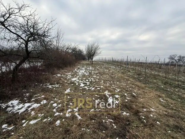 Prodej pozemku, Bzenec, 1231 m2