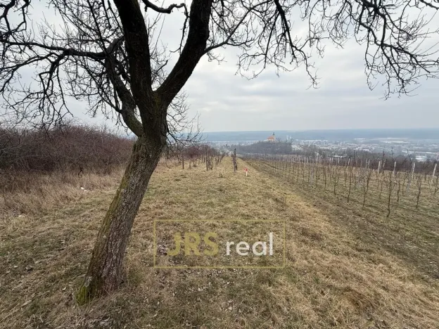 Prodej pozemku, Bzenec, 1231 m2