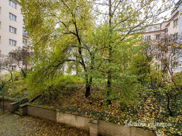 Pronájem bytu 2+kk, Praha - Žižkov, Přemyslovská, 46 m2