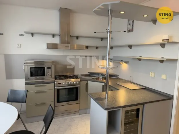 Pronájem bytu 1+1, Ostrava, Evžena Rošického, 41 m2