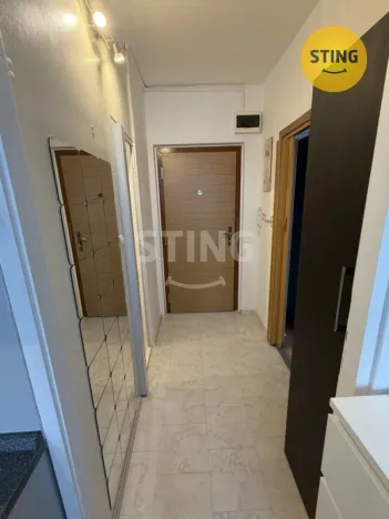 Pronájem bytu 1+1, Ostrava, Evžena Rošického, 41 m2