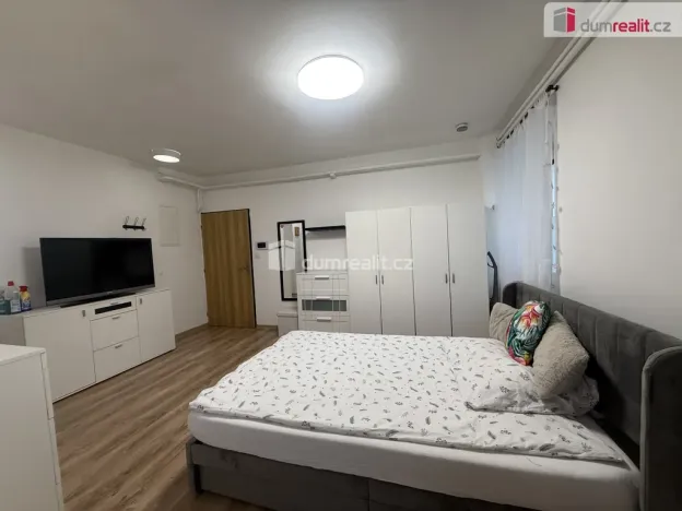 Pronájem bytu 1+kk, Tisá, 33 m2