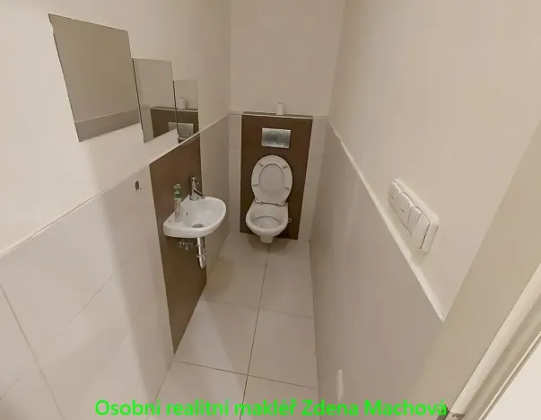 Pronájem bytu 2+kk, Praha - Vinohrady, Lublaňská, 56 m2