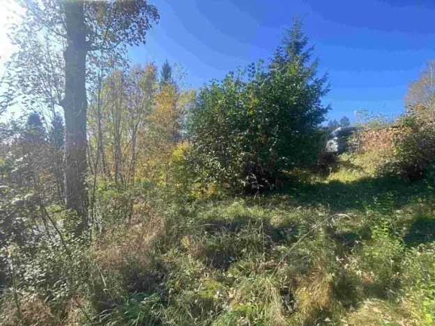 Dražba louky, Lučany nad Nisou, 179 m2