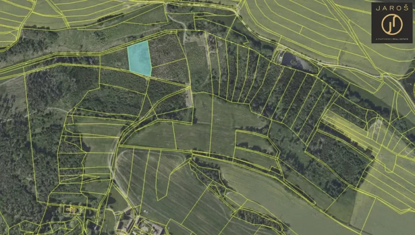 Prodej lesa, Tehov, 4064 m2