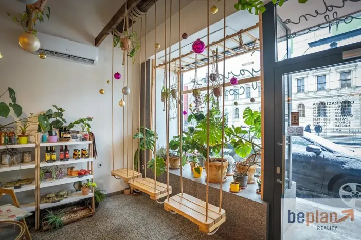 Pronájem restaurace, Brno, Štefánikova, 35 m2