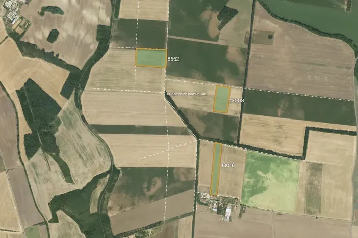 Prodej pole, Hrušovany nad Jevišovkou, 90356 m2