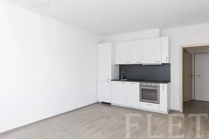 Pronájem bytu 2+kk, Praha - Hodkovičky, Šífařská, 48 m2