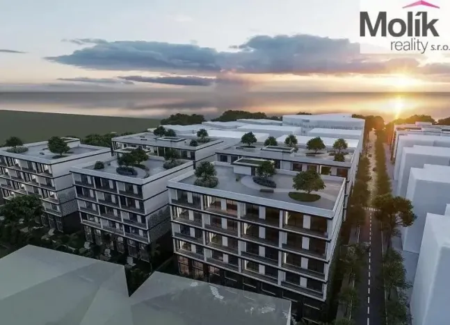 Prodej bytu 2+kk, Golem, 53 m2