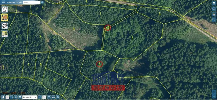 Prodej lesa, Kasejovice - Chloumek, 4325 m2