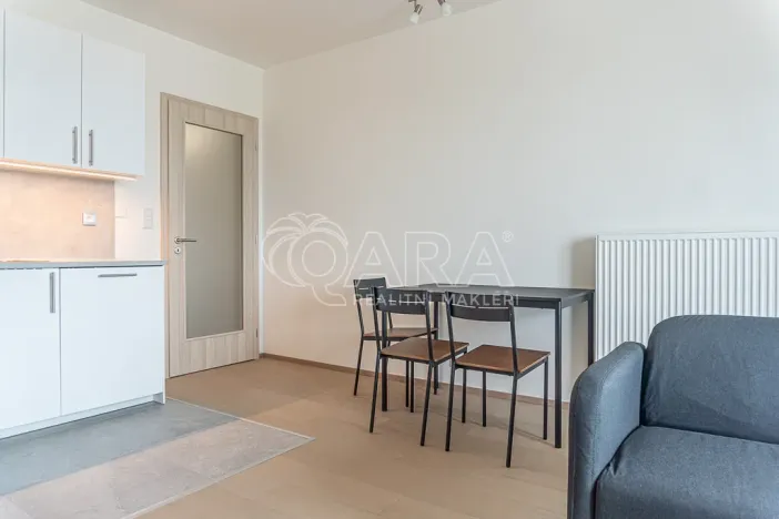 Pronájem bytu 2+kk, Praha - Žižkov, Olgy Havlové, 52 m2