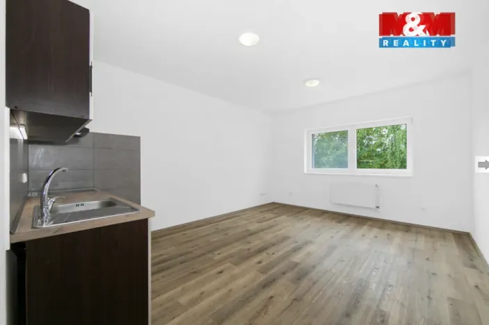 Pronájem bytu 2+kk, Radnice, Na Potocích, 49 m2