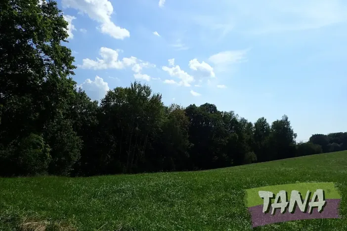 Prodej louky, Hodkovice nad Mohelkou, 49051 m2