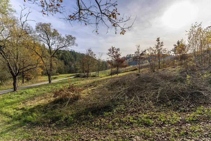 Prodej pozemku, Všechlapy, 927 m2