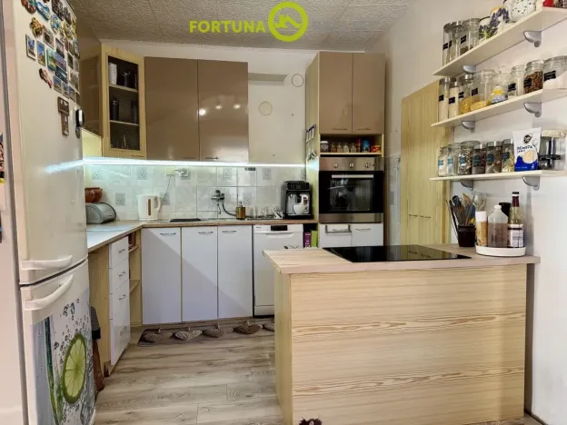 Prodej rodinného domu, Budišov nad Budišovkou, Horská, 273 m2