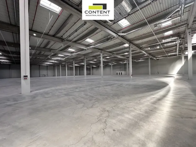 Pronájem výrobních prostor, Údlice, Droužkovická, 15000 m2