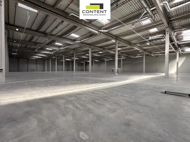 Pronájem výrobních prostor, Údlice, Droužkovická, 15000 m2