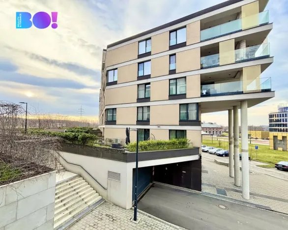 Pronájem bytu 2+kk, Ostrava, F. X. Riepla, 59 m2